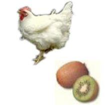 素材『ヒアロ・ナチュラル』