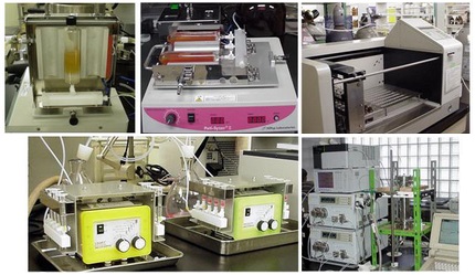 【受託分析】アミノ酸組成分析・キラル(DL)分析