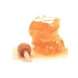 株式会社秋田屋本店　事業紹介