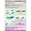 Autodesk Moldflow 受託樹脂流動解析サービス