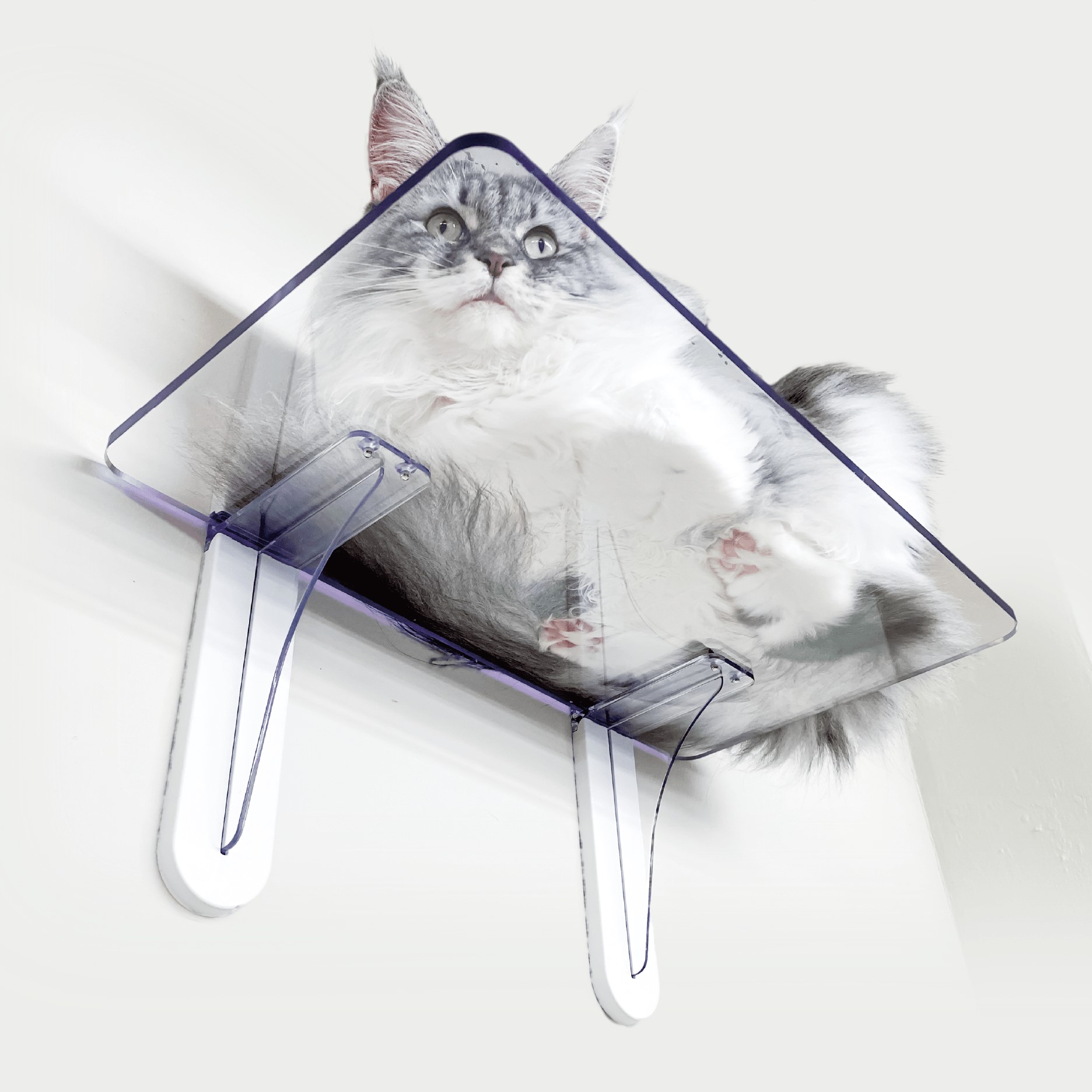 ぷにっとした肉球がみえる『キャットステップ　平面用,コーナー用』