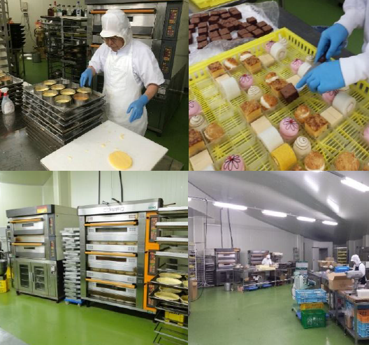 サクセム株式会社　事業紹介