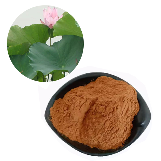 Lotus Leaf Extract.jpg