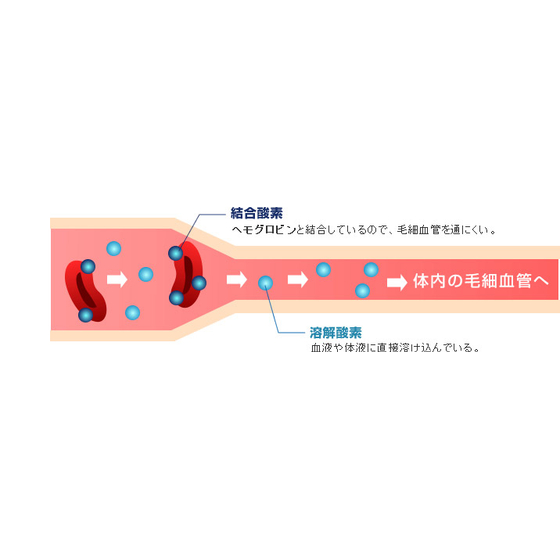 酸素カプセルの原理.jpg