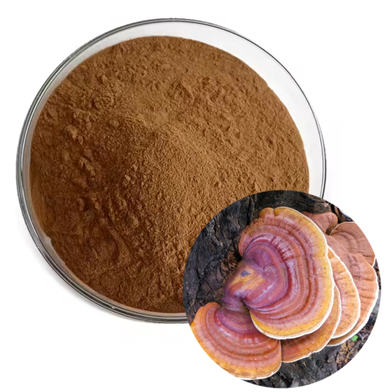 Organic Ganoderma Lucidum Polysaccharides.jpg