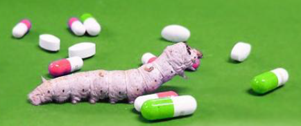 試験『有効性・安全性試験』