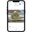 AI Count App "cazoeTell" (Lineup)
