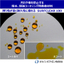 Water-repellent and oil-repellent coating deposition material SURFCLEAR 100