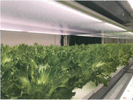 植物育成用LEDパネル