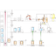 プラント設備例：『粉体紙袋自動開袋機＋コンテナ自動配合システム』
