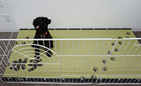 ペット用たたみ『あに丸』