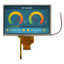 TFT LCD "WF70A9SWAGDNT0"