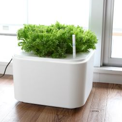 水耕栽培装置　ホームハイポニカ MASUCO(マスコ)