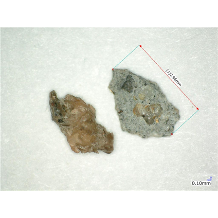 image_02.png