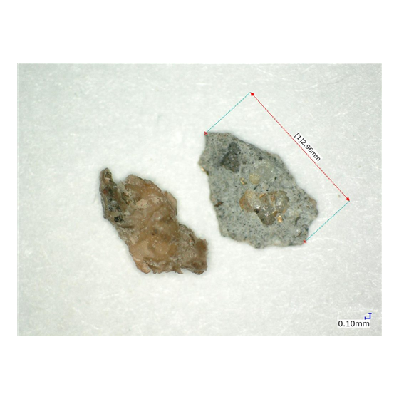 image_02.png