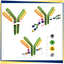 【抗体医薬品・糖鎖修飾分析用酵素】SmartEnzymes