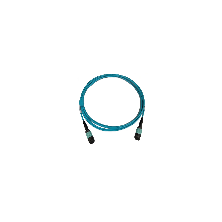 QSFP 12F Cable.png