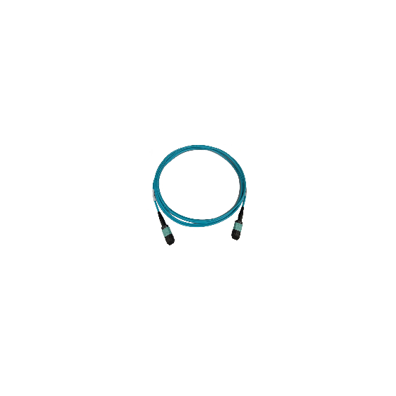 QSFP 12F Cable.png