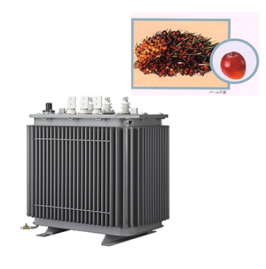 パームヤシ脂肪酸エステル油 トップランナー変圧器