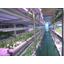 エコシステム『LED植物工場』