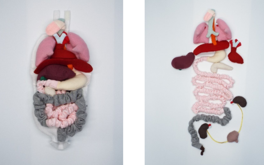 ❤教科書レベル❤ 人体模型 内部臓器再現 かわいいインテリアに ❤教科書レベル❤ 人体模型 内部臓器再現 かわいいインテリアに