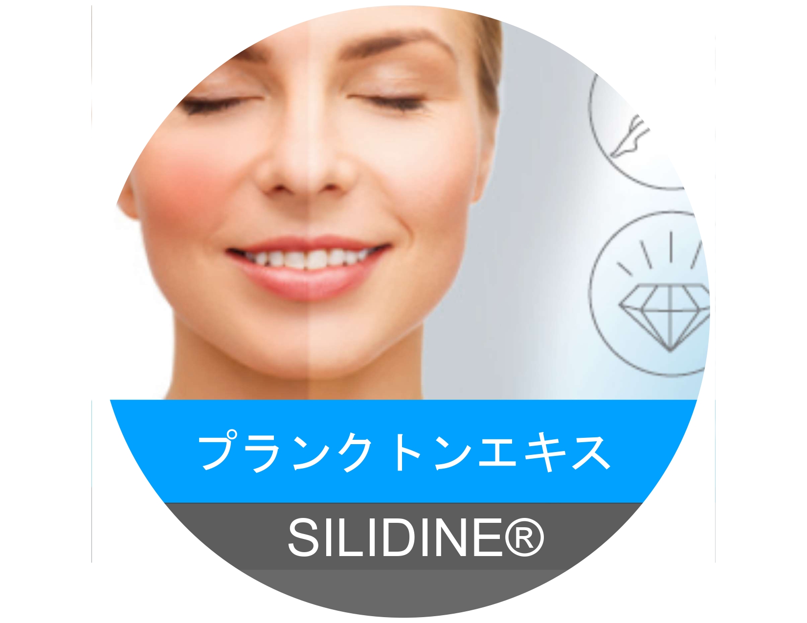 化粧品原料　活性化プランクトンエキス　シリジン(SILIDINE