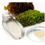 Planning and development of health food using the functional ingredient "Fucoidan" as the main raw material.