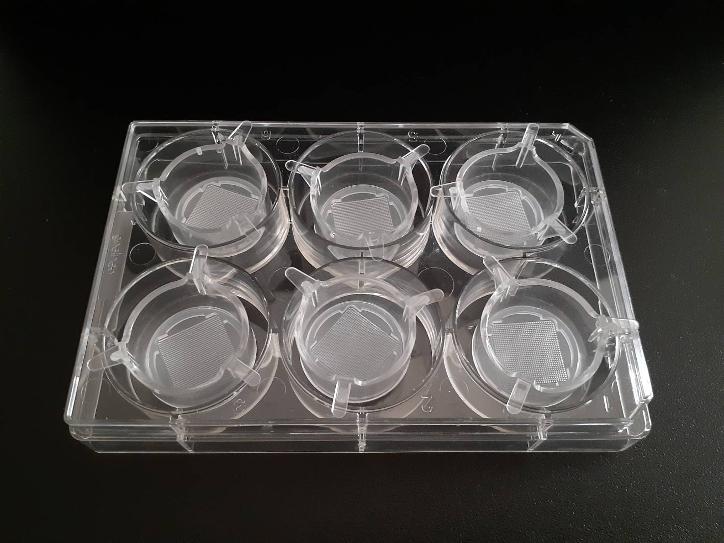 細胞塊スフェロイド三次元培養プレートTASCL 6WELL