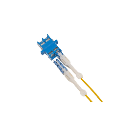 CS Adapters and Cable Assemblies