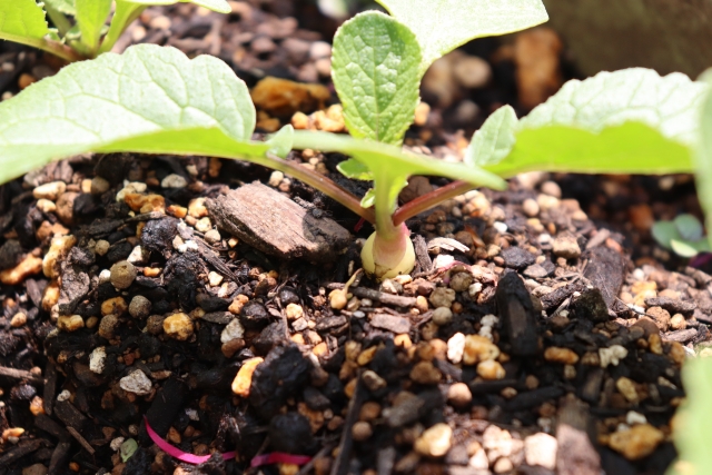 【課題解決事例】肥料袋向けの加工特製のある三層フィルムが欲しい