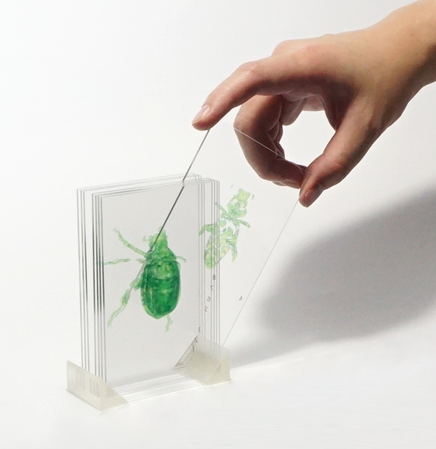 3D画像 透明立体模型製作 ExhiBits プレゼンや発表に