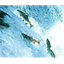 Red Mystery Astaxanthin 'BioAstin'
