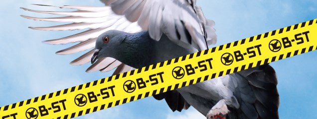 鳥よけジェル『B-STジェル』