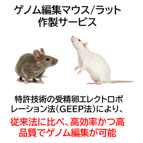 Genome Editing Mouse Production Ser...