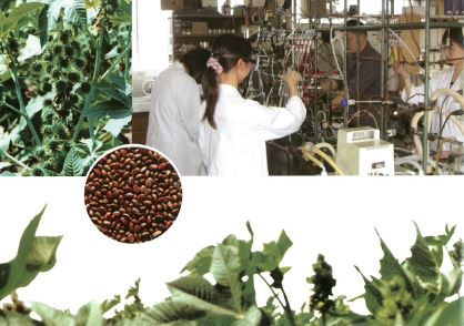 豊国製油株式会社　事業紹介