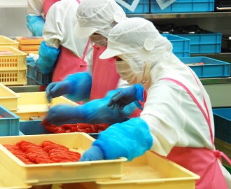 衛生管理コンサルティングサービス