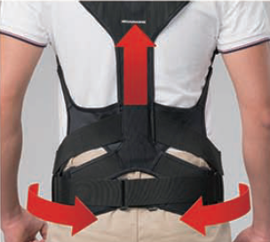 【作業負担を軽減】ダーウィン・サット