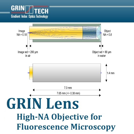 グリンレンズ『蛍光顕微鏡用高NA対物レンズ』【医療用途向け】