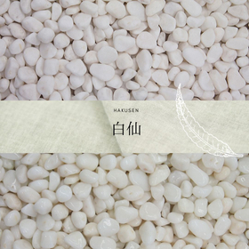 玉砂利　２０ｋｇ　白仙砂利（１分～２０分）