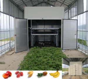 蒸熱処理装置　農産物病害虫防除装置