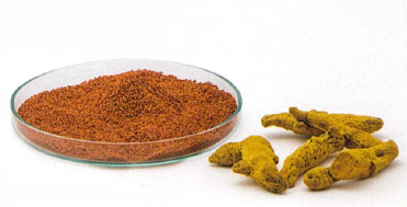 高吸収型クルクミン抽出物『TurmXTRA60 N』