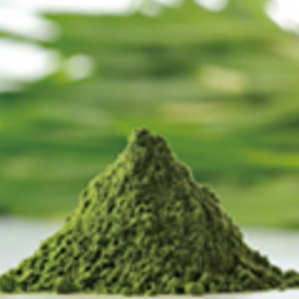 健康食品素材『青汁原料』