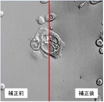 画像強調ソフトウェア『MagicalFine』