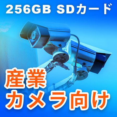 Camera1111.jpg