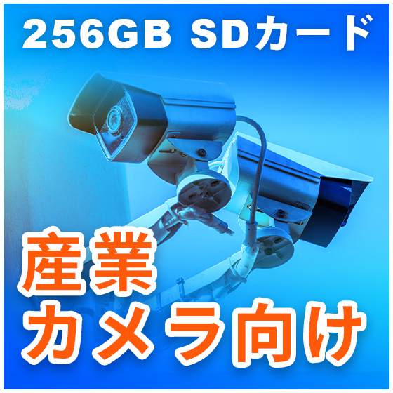 Camera1111.jpg