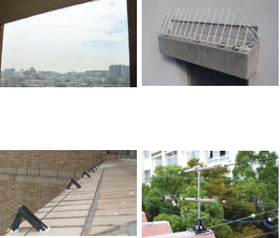 日本鳩対策センター サービス紹介『鳩対策』