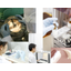 OEM Production: The Process to Productization
