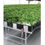 Nutrient Solution Cultivation Plant "Kaneko EK Type Hydroponic"