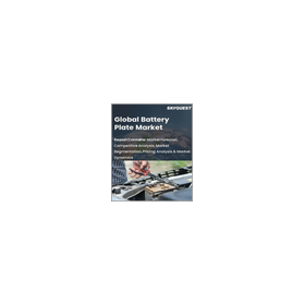 [English Market Research Report] Global Market for Battery Plates
