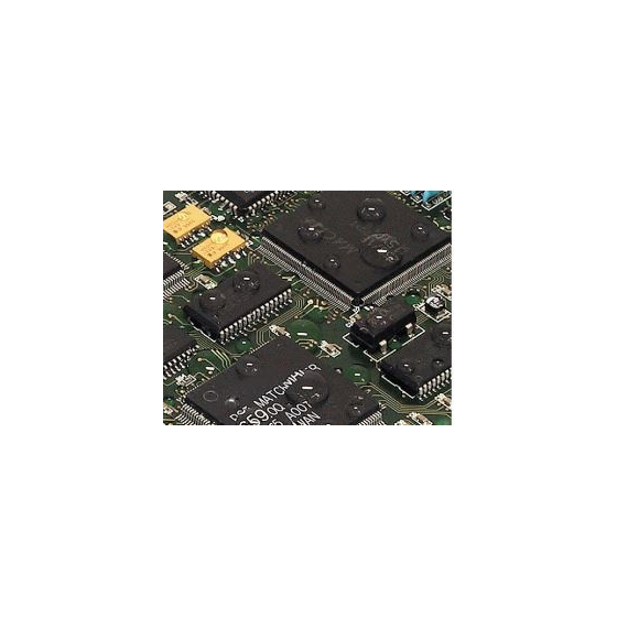 3630.JPG